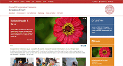 Desktop Screenshot of ccelivingstoncounty.org